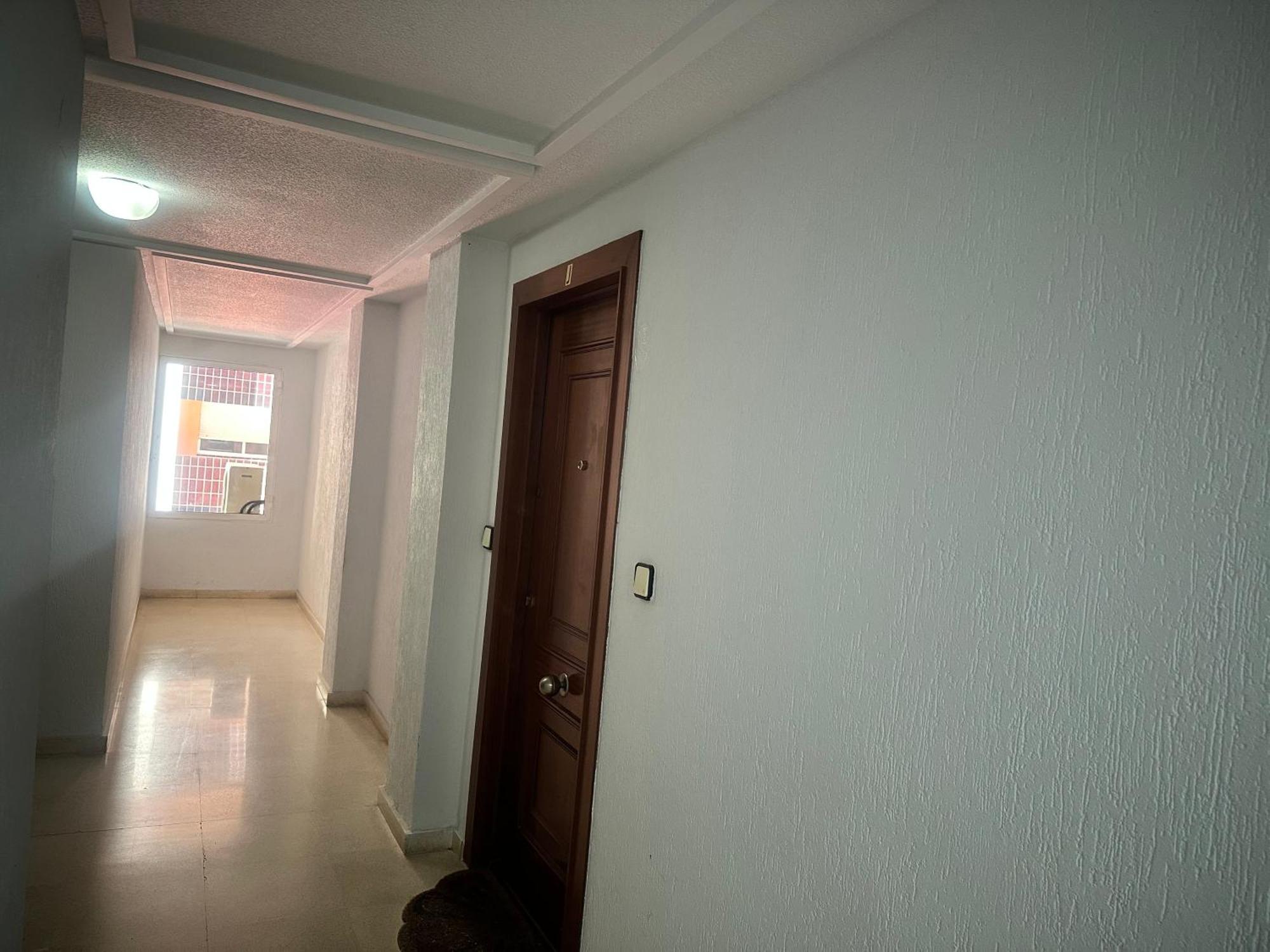 Homely Apartments Habaneras Torrevieja Eksteriør bilde
